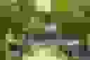 Sector J-Public Image#49c42