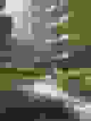 Silkstream-Public Image#ef530